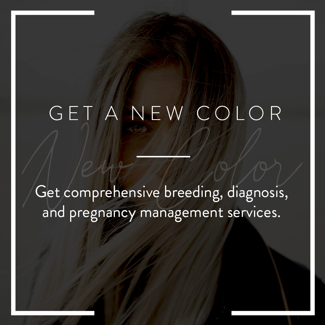 Are Hair Salon Treatments Worth It?